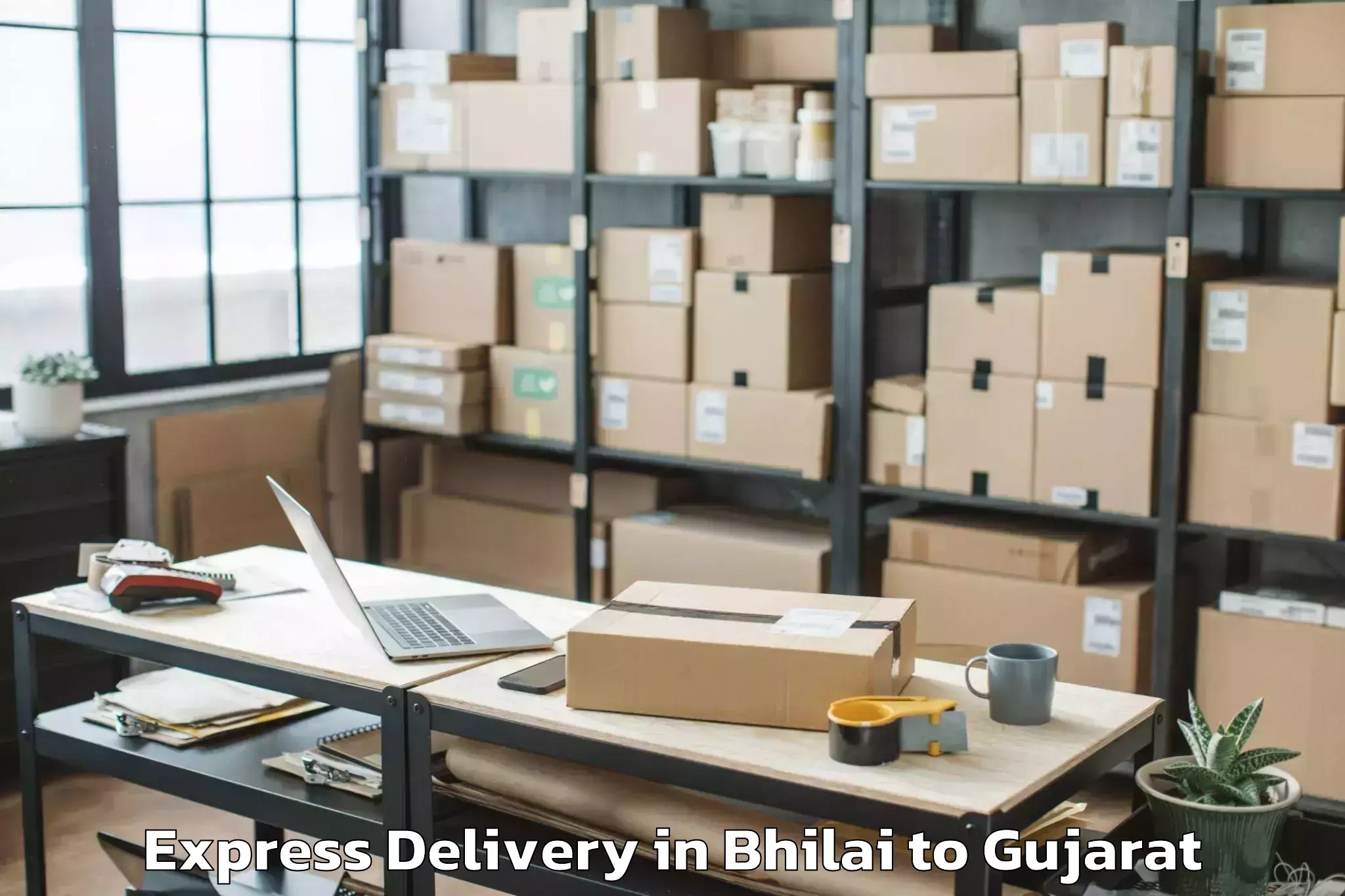 Expert Bhilai to Savli Express Delivery